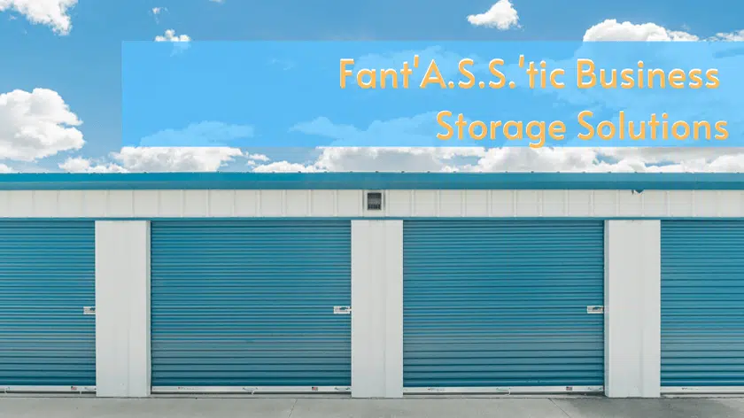 Fant'A.S.S.'tic Business Storage (2)